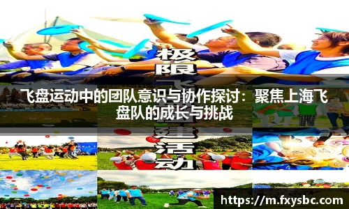 飞盘运动中的团队意识与协作探讨：聚焦上海飞盘队的成长与挑战