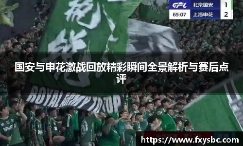 国安与申花激战回放精彩瞬间全景解析与赛后点评